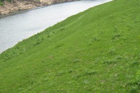 常見護坡樣式、特點及性能